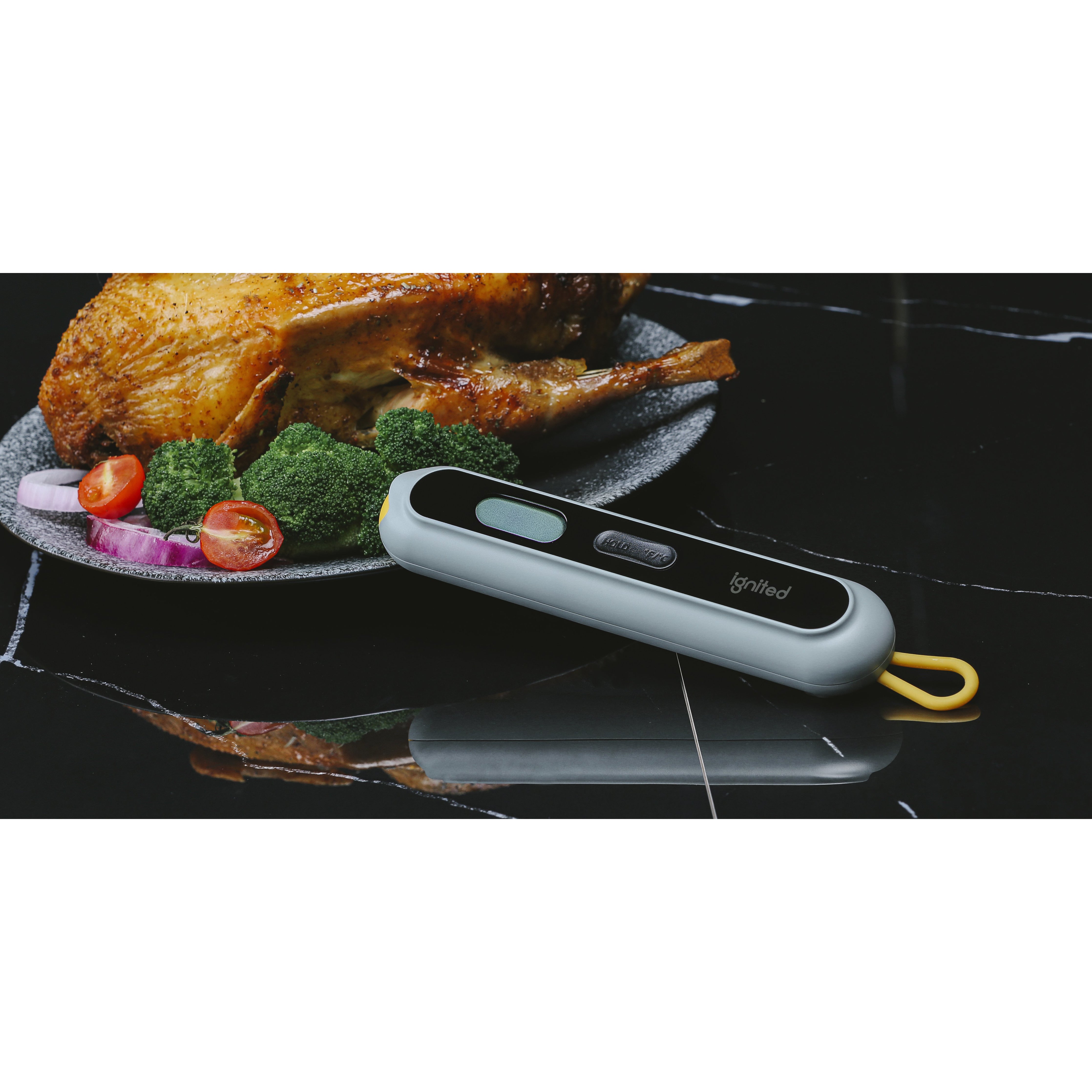 food thermometer 